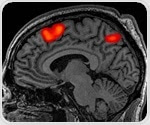 Rice scientists develop method to identify patients at high risk of continued seizures before surgery