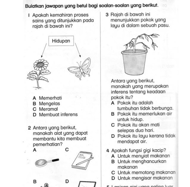 Contoh Soalan Ujian Matematik Tahun 2 Kssr - Cards Of