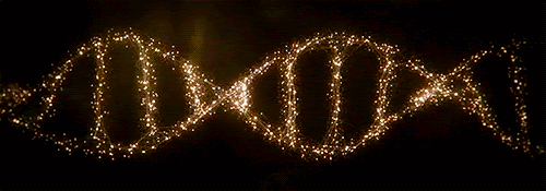 Resultado de imagem para DNA gif