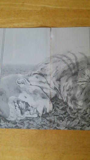 軍鶏 漫画 最終 回 壁紙画像ページ