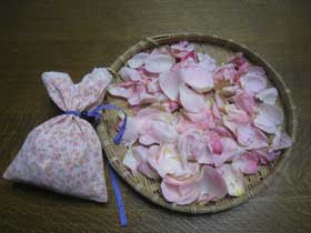すべての美しい花の画像 最新のhd薔薇 花びら 活用