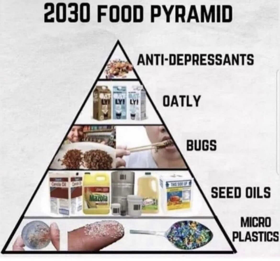 Depiction of the 2030 "Food pyramid" with anti-depressants at the top and micro plastics at the bottom.