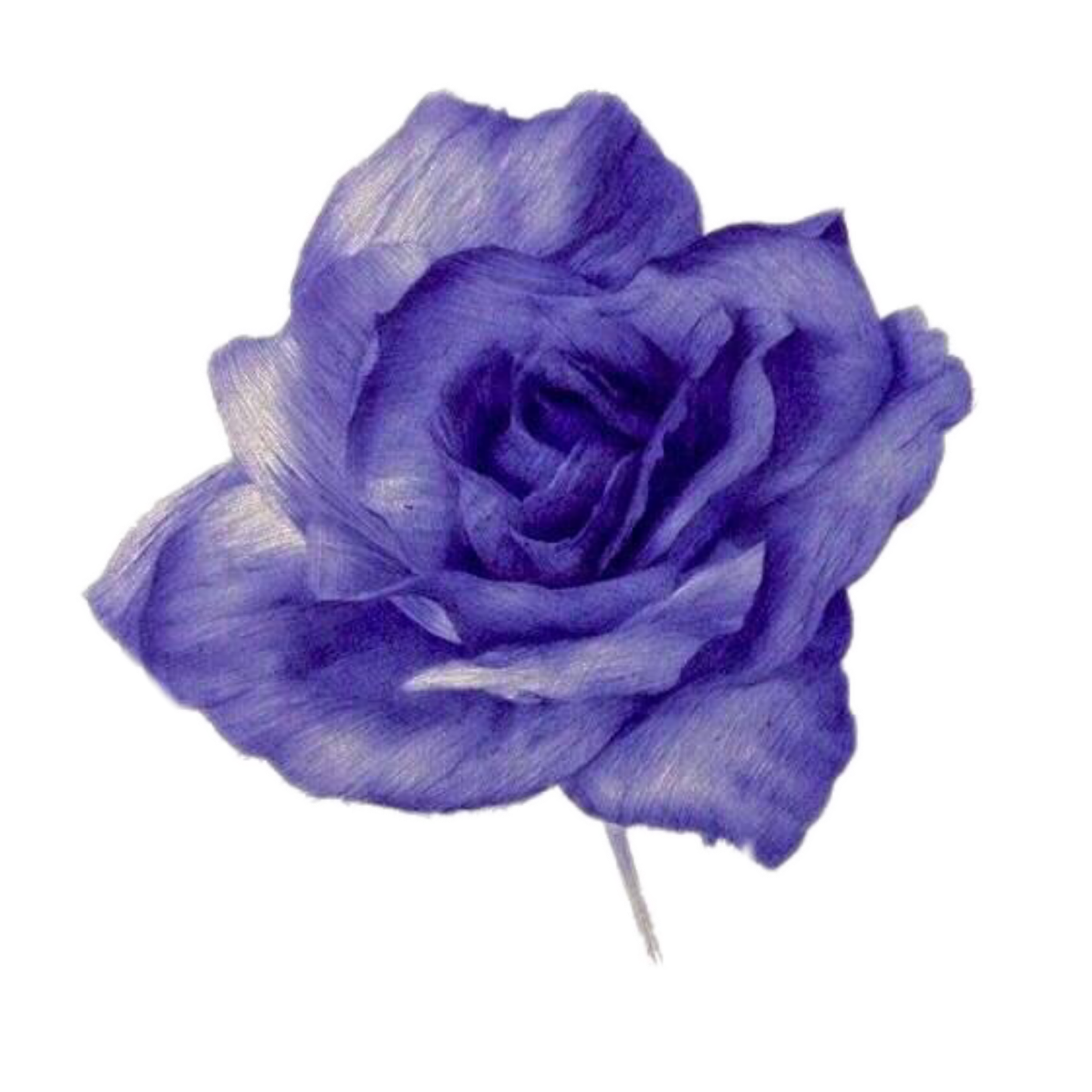 Check spelling or type a new query. Blue Rose Flower Naruto Image Ino Yamanaka Blue Watercolor Background Tumblr Png Download 2289 2289 Free Transparent Blue Rose Png Download Clip Art Library