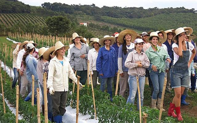 cac co gai o thi tran "khat" chong nhat the gioi, da gia ma van chua tung duoc hon ai - 1