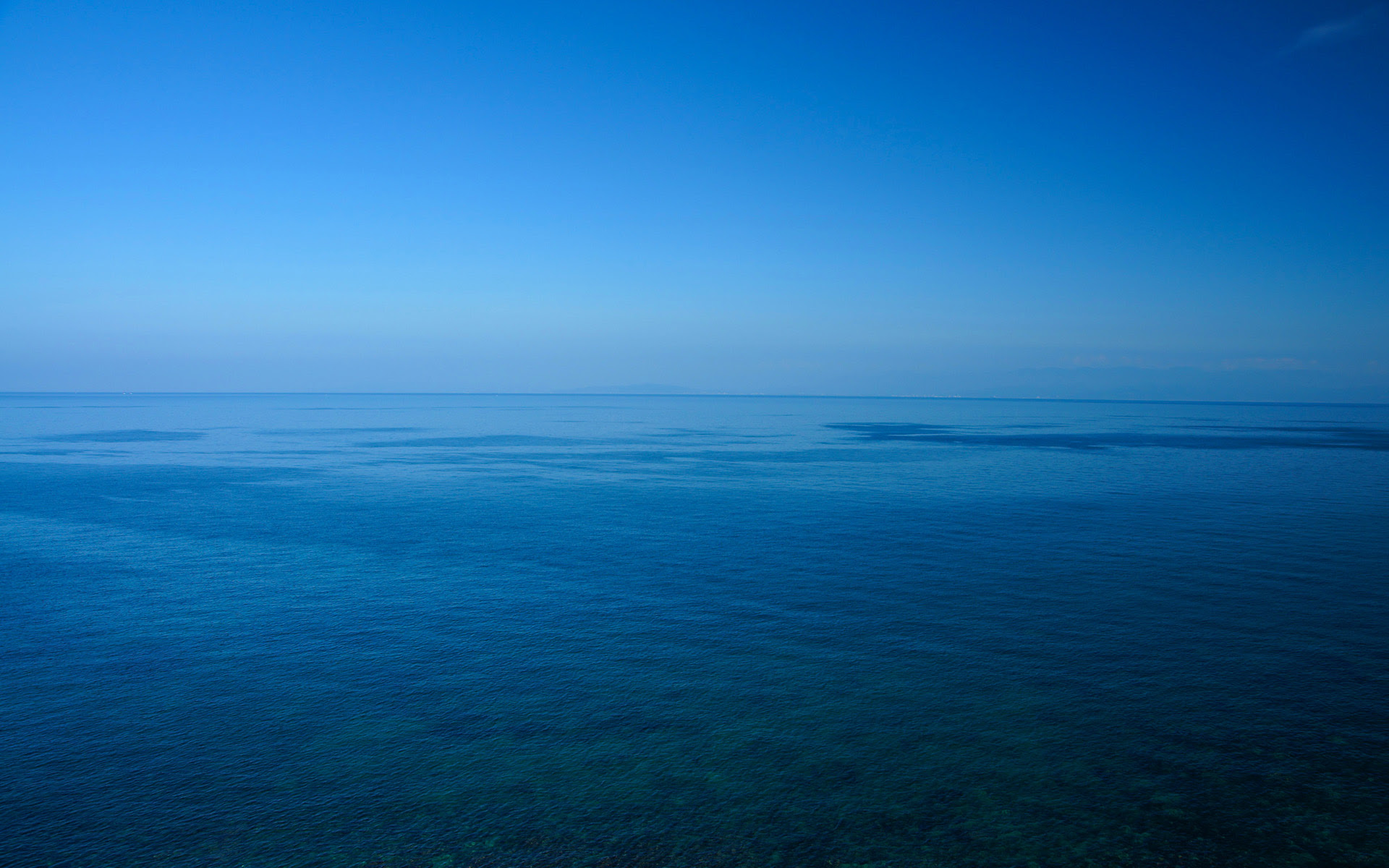 最新海 無料素材 花の画像