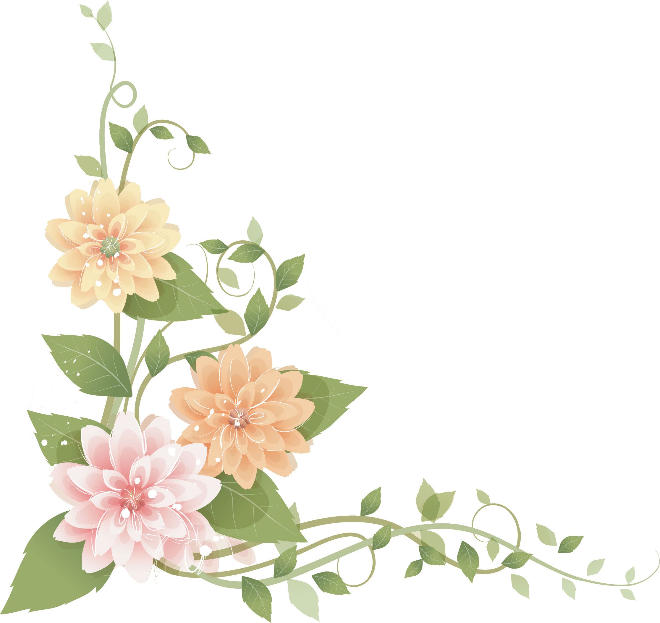 すべての美しい花の画像 ベスト50 ダリア 花 画像 無料