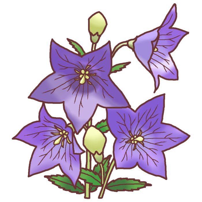 100 11月 花 イラスト Ituirasuto