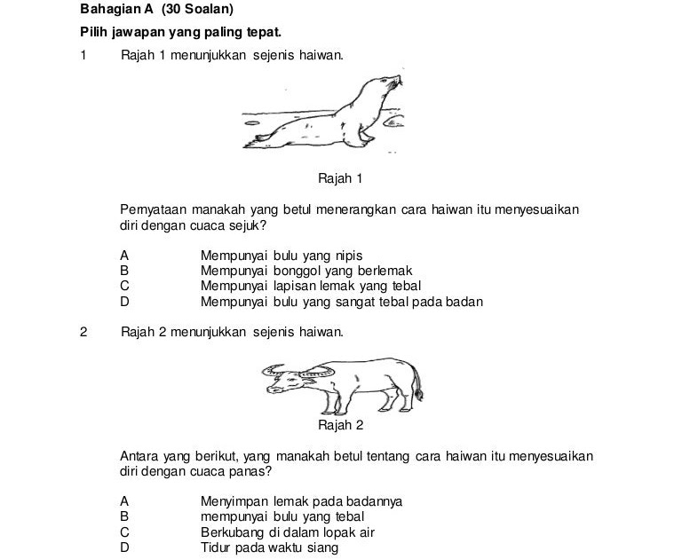 Contoh Soalan Dan Jawapan Ujian Integriti Pdrm - Soalan bx