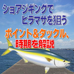 最高かつ最も包括的なショアジギング ポイント 魚のすべて