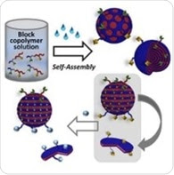 Simple Method to Create and Functionalize Virus-Like Polymer Particles Having Nanostructures