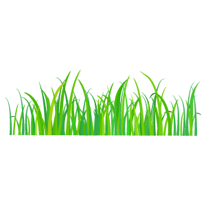 すべての動物の画像 綺麗な草 イラスト フリー素材