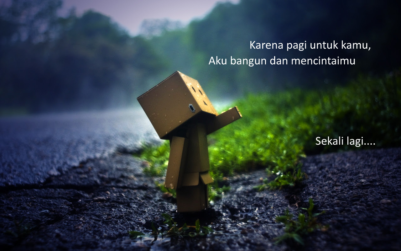 Dp Bbm Boneka Danbo Kangen Mainan Oliv