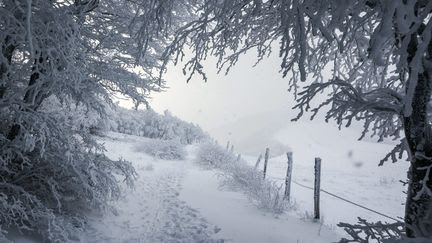 Froid, neige, givre, verglas... Qu'est-ce que l''hiver météorologique' qui commence le 1er décembre ?