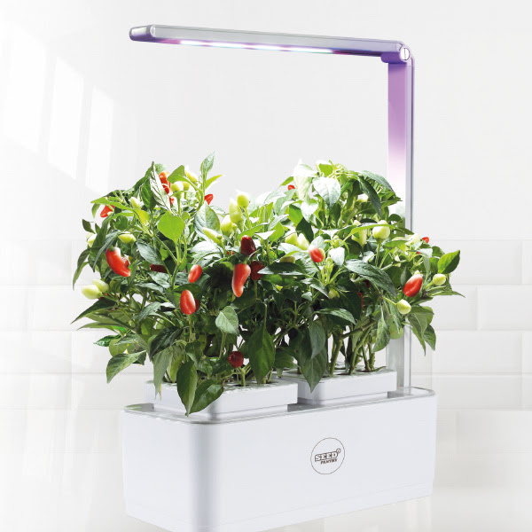 Seed Pantry Grow Pod 2