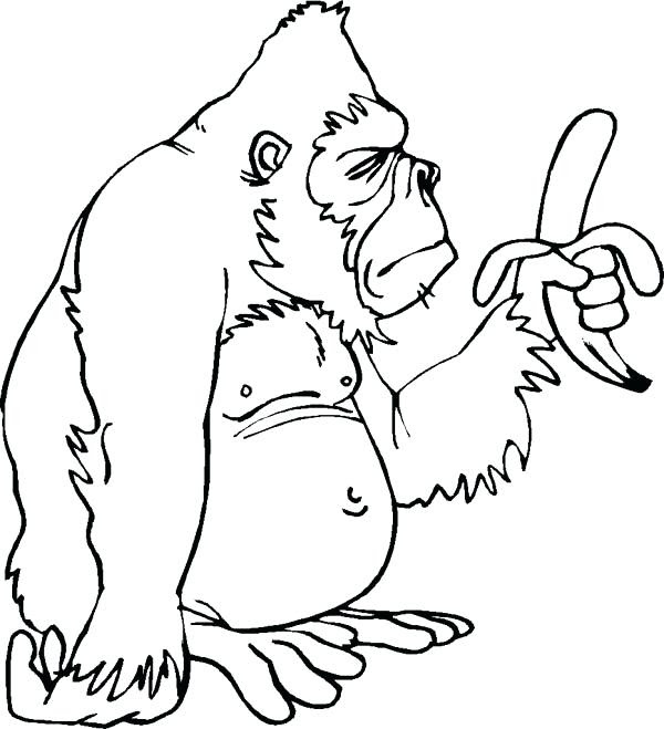 Cute Gorilla Coloring Pages - Super Kins Author