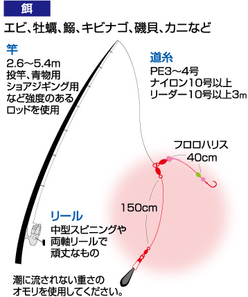 キビナゴ 餌 仕掛け キビナゴ 餌 仕掛け
