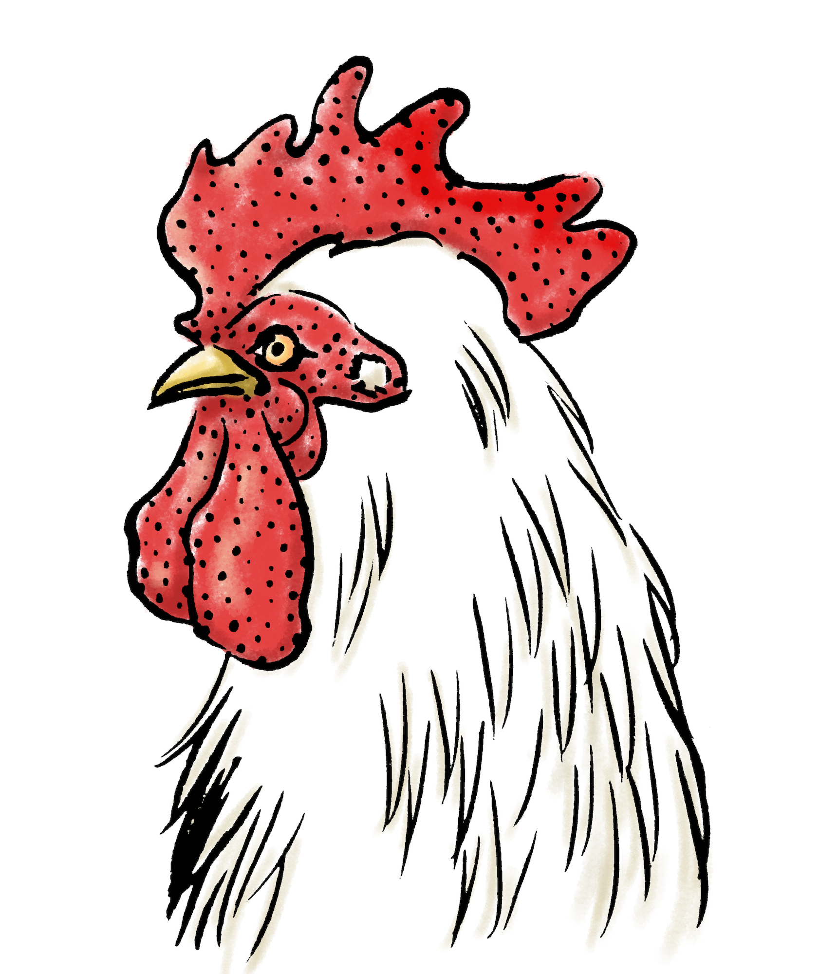 50 素晴らしい鶏 イラスト 正面 リアル スーパーイラストコレクション