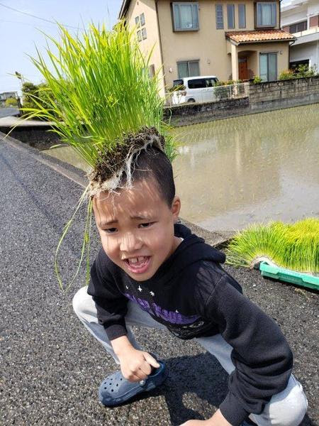 上 ヤンキー の 子供 髪型 Apixkabegamijp