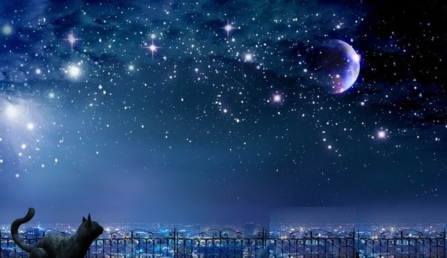 背景 星空 かっこいい 綺麗 な 画像 ブラッククローバー アニメ画像