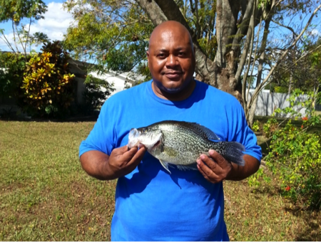 Both crappies average 10 inches in length as adults. Crappie Questions Florida Sportsman