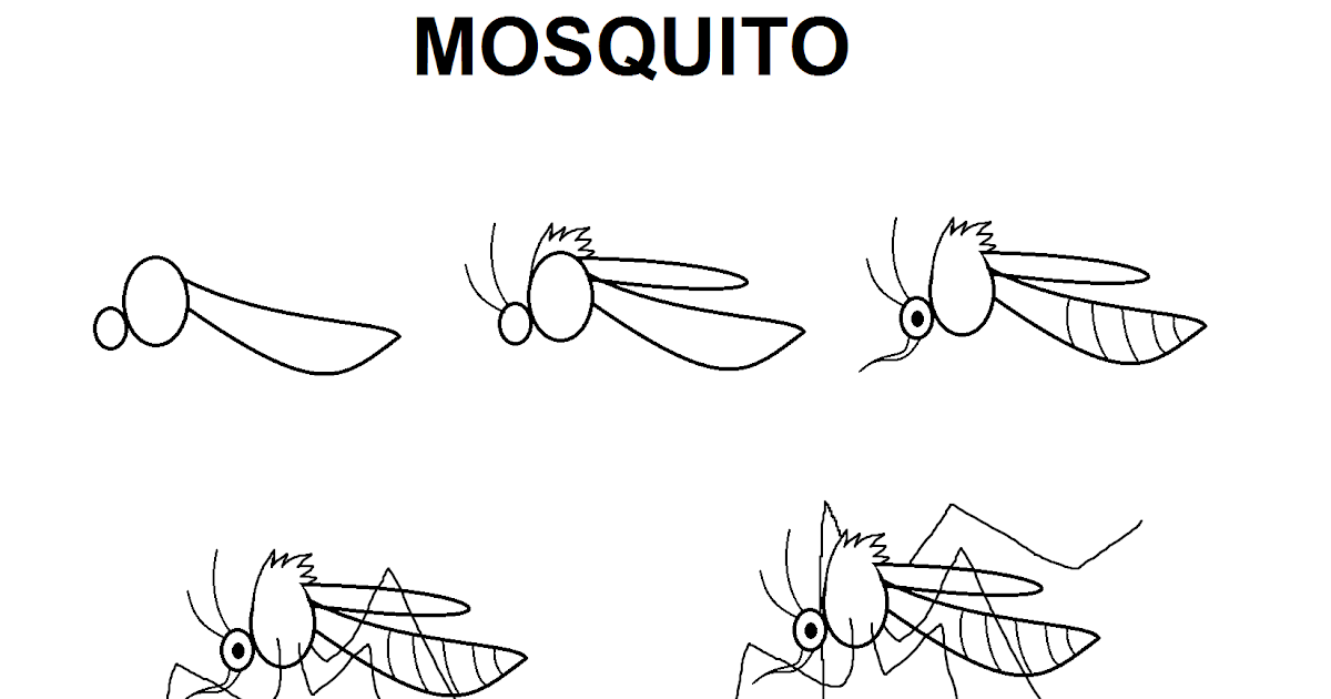 20+ Inspiration Mosquito Drawing Easy - Sarah Sidney Blogs