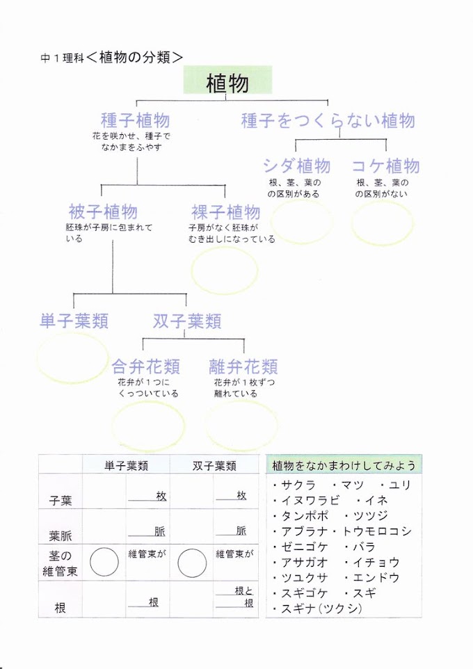 完了しました 中1 理科 植物 レポート 中1 理科 植物 レポート Josspixr7ce