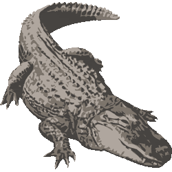 すべての動物の画像 Hd限定イラスト ワニ 画像