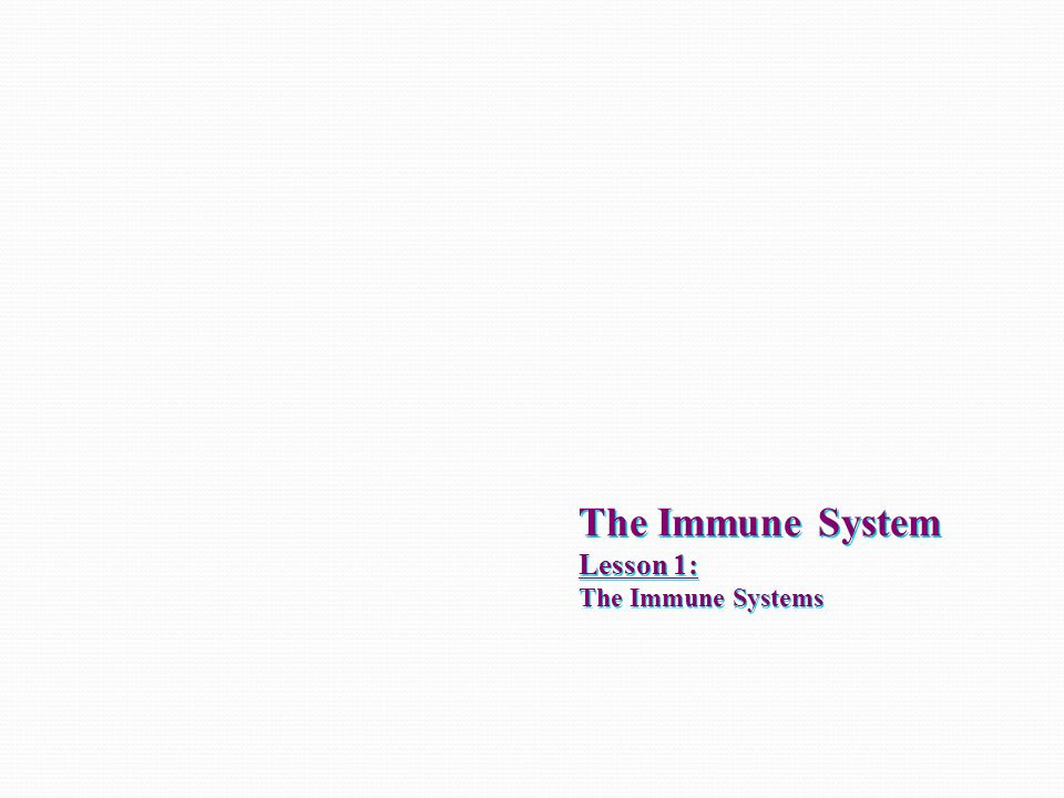 Friday afternoon, may 24, 2013. Chapter 24 The Immune System And Disease Worksheet Answers Worksheet List