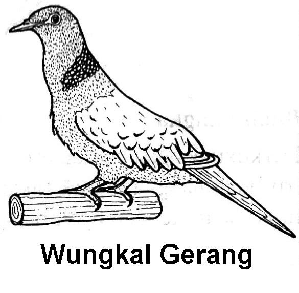 Viral Desain Gambar Burung  Merpati Gambar  Tato Gambar  Tato