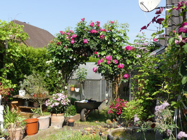 Mein schöner garten berücksichtigt dabei die speziellen anforderungen der gartenbesitzer und geht auch auf individuelle problemstellungen ein. Eure Gartenbilder Beete Und Gestaltungsideen Sommer 2017 Mein Schoner Garten Forum