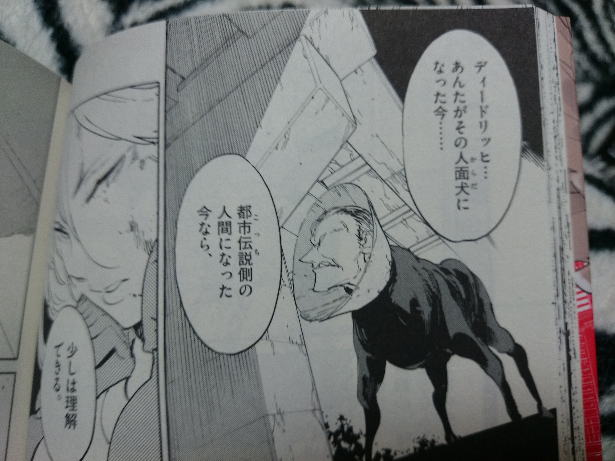 最高東京カラス アニメ 最高のアニメ画像