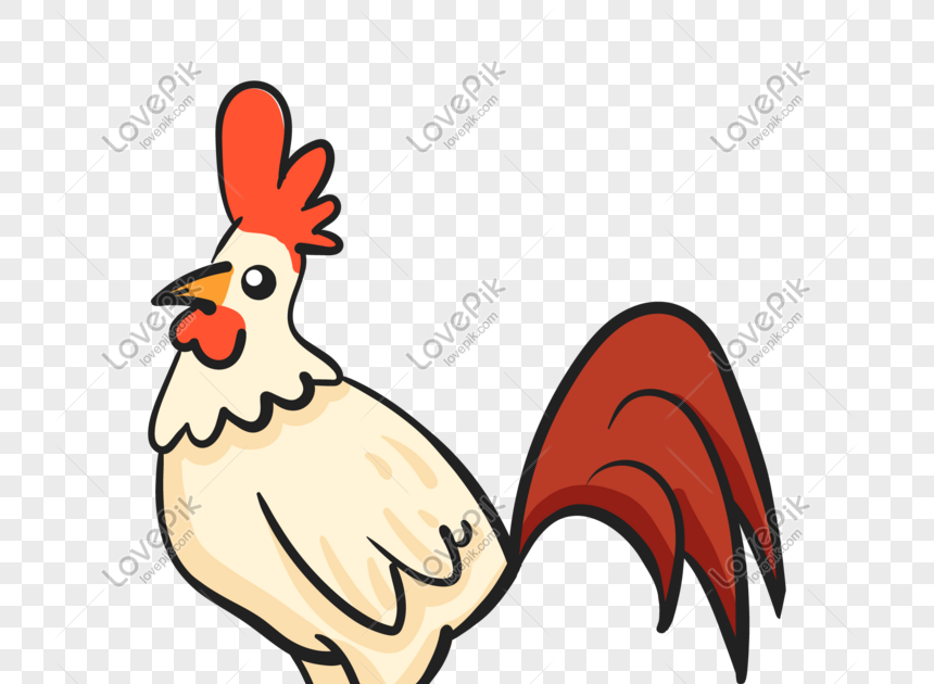 Terkeren 30 Gambar  Kartun Ayam  Jantan  Gambar  Kartun Mu