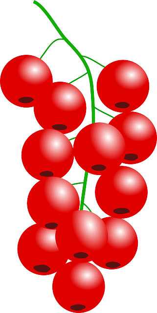 Cranberry Art Drone Fest Border png you can download 28 free border png images. cranberry art drone fest
