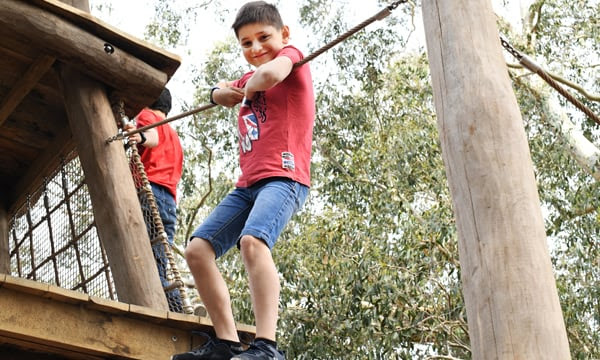 Image of a boy on a climbing frame