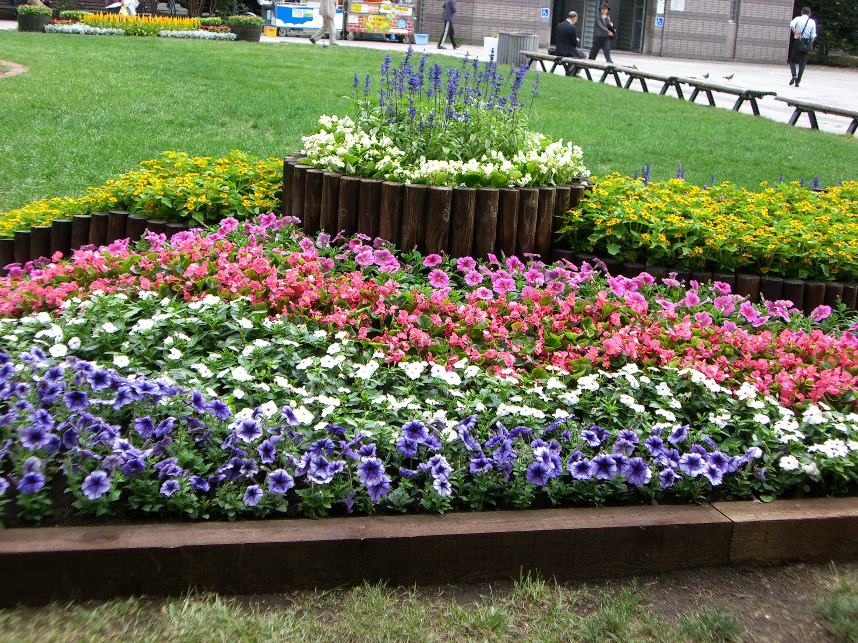 ぜいたく花壇 花 植え 方 最高の花の画像