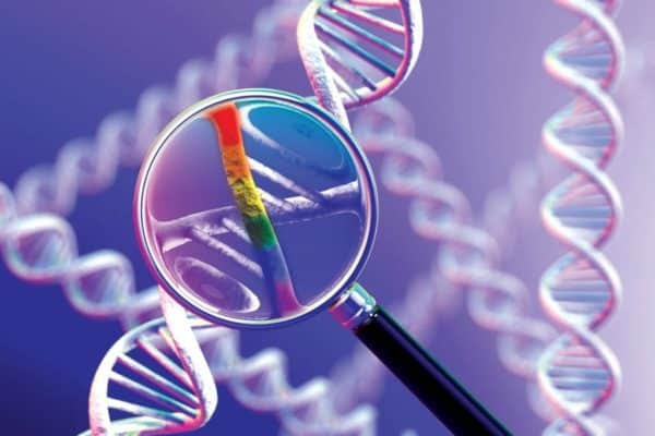 gene editing and stem-cells gene editing innovation