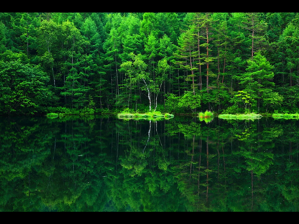 21年の最高 東山魁夷壁紙 Jpbestwallpaper