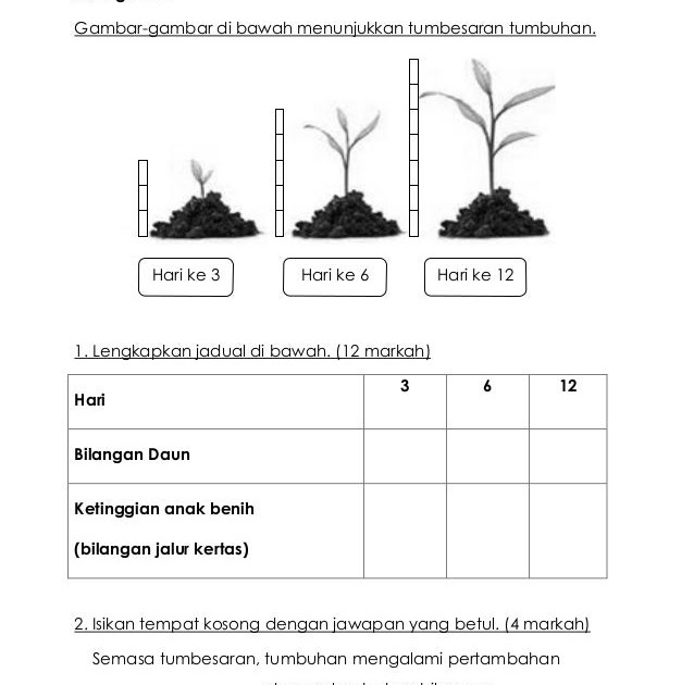 Kertas Soalan Sains Tahun 4 Sjkt - Terengganu s