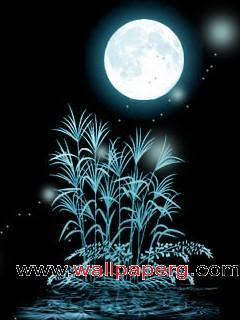 Tebar Manfaat Beautiful Love Wallpaper For Mobile Phone Full Hd