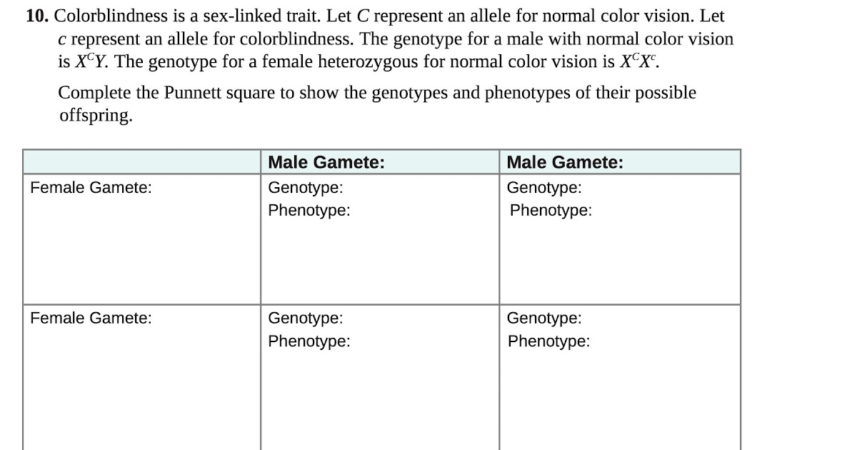 14.1 Human Chromosomes Key / Human Chromosomes Ck 12 ...
