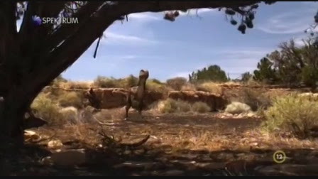 A Retteges Arenaja Elozetes Elozetes Trailer Videa A rettegés arénája a videókat megnézheted vagy akár le is töltheted, a letöltés nagyon egyszerű, és a legtöbb készüléken működik. videa