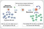 Researchers identify new way to treat chronic myelogenous leukemia