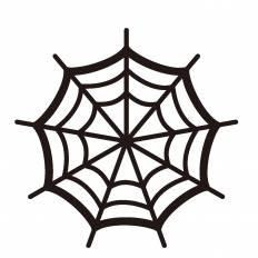 これまでで最高のクモの巣 イラスト 花の画像