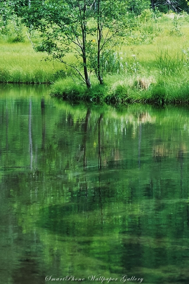 最も選択された Iphone 壁紙 自然 高画質 Iphone 壁紙 自然 高画質 Saesipapictfb2