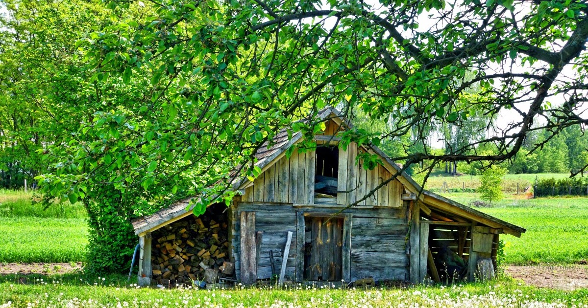 Gambar Rumah Gubuk Di Hutan Rumah KPK