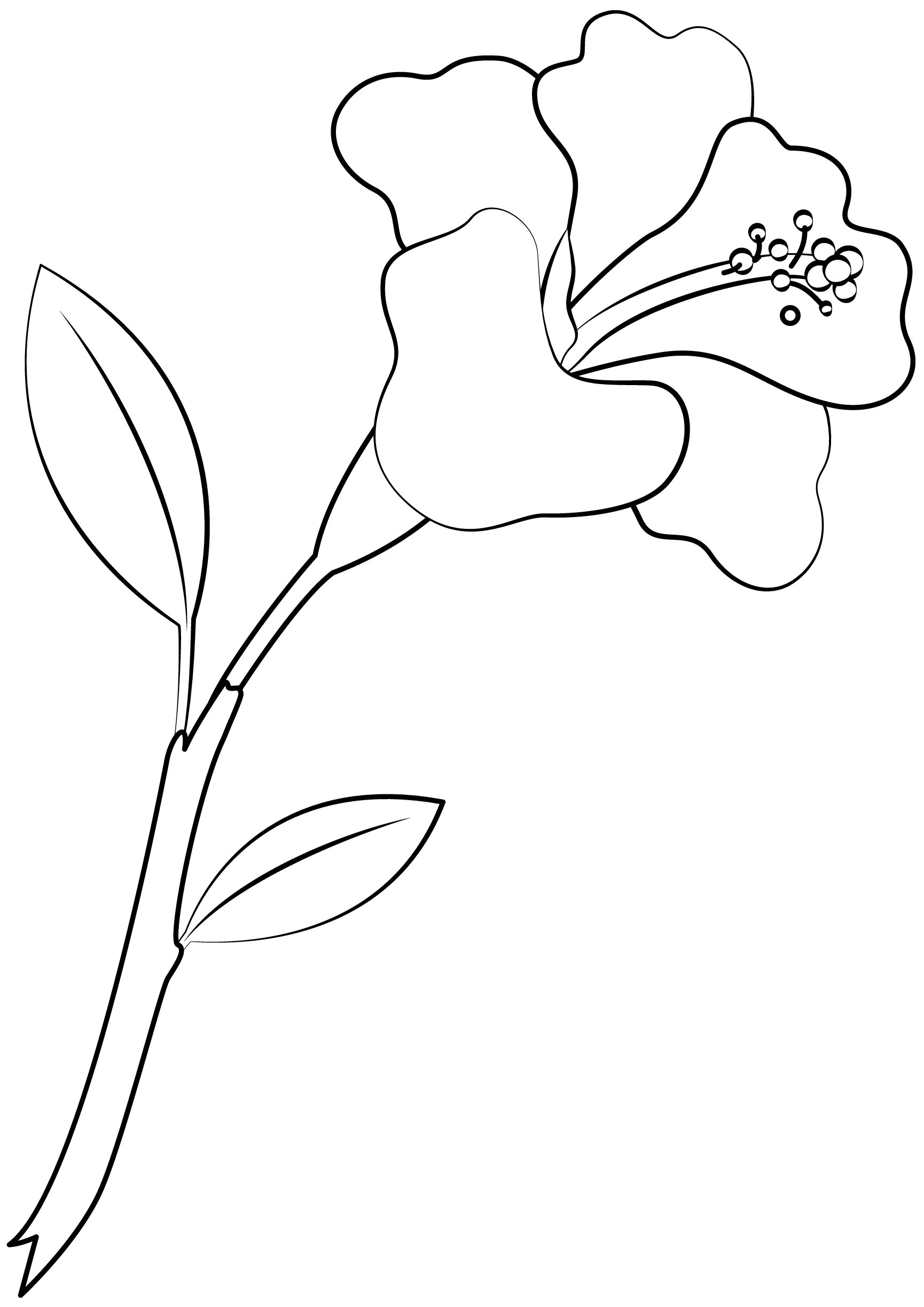 The pattern was really well done and had great. Hibiscus Flower Printable Template Free Printable Papercraft Templates