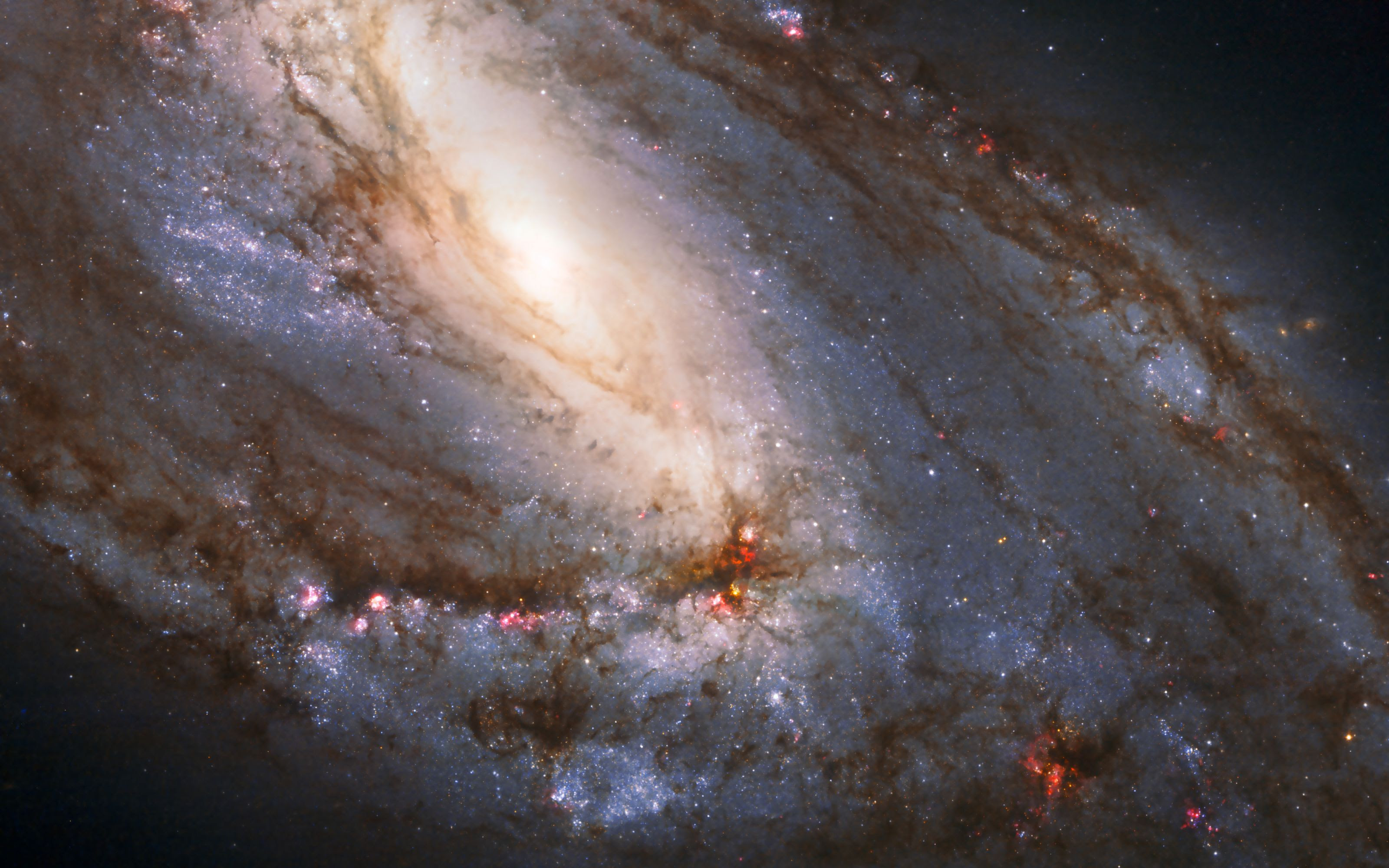 元の宇宙 高 画質 4k 壁紙 すべての美しい花の画像