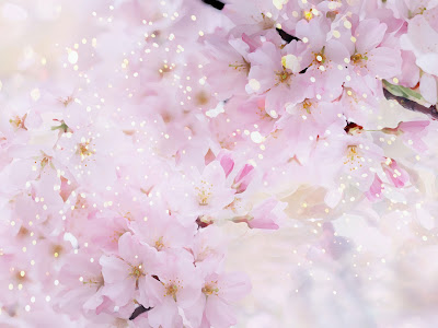 美しい花の画像 桜 イラスト 綺麗 壁紙
