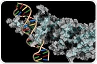 What is Hypoxia-Inducible Factor?