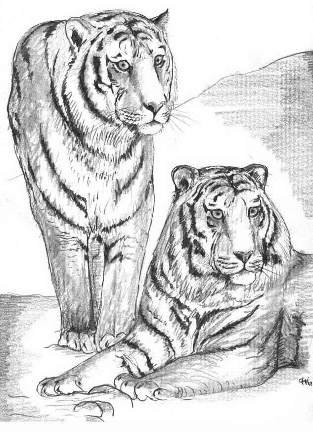 Lascia la tua opinione su disegni difficilie scopri opinioni su temi relazionati comedisegni e difficili. Tigers Adult Coloring Pages